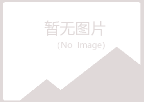 白银平川无果会计有限公司